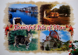 Bild Postkarte Grüße von der schönen Isle of Man The Laxey Wheel Katzenbahn