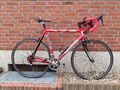 60cm Ridley Triton Alu Rennrad, Leicht, Groß, Shifter