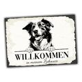 Hundeschild Willkommen Zuhause Border Collie No.2 Dog Schild Spruch Türschild Wa