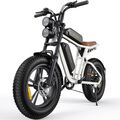 ENGWE E Bike Herren Elektrofahrräder-Ebike mit Batterien 48V 13Ah E-Bike 20 Zoll
