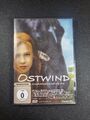 Ostwind (2013, DVD video) Zustand neuwertig 