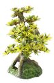 Europet Bernina 234-420911 Aquariumdekoration - BONSAI - 15cm -