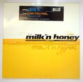 EBOND SQ-1 - Can You Feel... Vinile - Milk&#x27;n Honey - MNH009 V097031