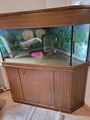 320 l Eckaquarium mit Abdeckung, LED-Beleuchtung und Unterschrank