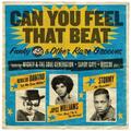 Various Artists Can You Feel That Beat: Funky 45s & Other Rare Grooves (CD)