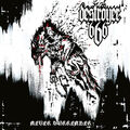 DESTRÖYER 666 - Never Surrender DIGI, NEU