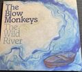 The Blow Monkeys - The Wild River  CD Monksroad/BMG  Digisleeve Aufklappbar
