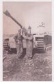 Foto Tiger Panzer mit DAK Soldaten 2WK Agfa Lupex Foto Repro Abzug!? WWII Tank