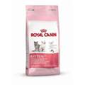 Royal Canin Kitten 5 x 400 g (24,95€/kg)