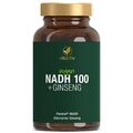 NADH 100 Kapseln vegan + Giseng unterstützt psychische und physische Vitalität