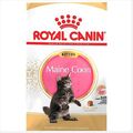(€ 42,65/kg) ROYAL CANIN Maine Coon Kitten Trockenfutter für Kätzchen 400 g