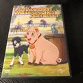 DVD • Schweinchen Wilburs großes Abenteuer