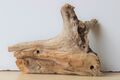 Treibholz Schwemmholz Driftwood  1 knorrige  Skulptur Basteln Dekoration 16 cm
