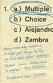 Multiple Choice Alejandro Zambra Taschenbuch 112 S. Englisch 2017 Granta Books