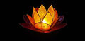 Windlicht aus Capiz Muscheln, Lotus Blüte gelb orange rot 14 inklusive LED Teel.