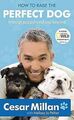 How to Raise the Perfect Dog von Cesar Millan | Buch | Zustand gut