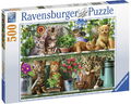 500 Teile Ravensburger Puzzle Katzen im Regal 14824