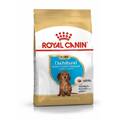 ROYAL CANIN Dackel Junior Dackel Welpe 1,5k