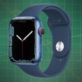 WIE NEU: Apple Watch Series 7, GPS + Cellular, 45mm Aluminium, Blau, 2 Armbänder