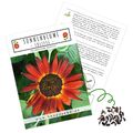 Farbenfrohe Sonnenblumen Samen mit hoher Keimrate - Farbe: Eklipse