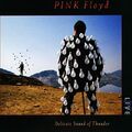 Pink Floyd - Delicate Sound Of Thunder - Live - 2CDs Neu & OVP