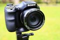 Sony Cyber-shot DSC-H300 20.1 MP Digitalkamera - Schwarz