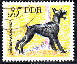 Deutschland DDR gestempelt Tier Haustier Hund Rasse Riesenschnauzer / 656