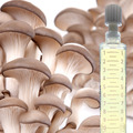 Flüssigmyzel 10ml Spritze | Pilze selber züchten | Pilzkultur | Flüssigkultur