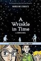 A Wrinkle in Time: The Graphic Novel von L'Engle, M... | Buch | Zustand sehr gut