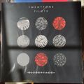 Twenty One Pilots Blurryface Vinyl - rot transcluzent schwarz geteilt