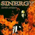 To Hell and Back von Sinergy | CD | Zustand sehr gut