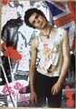 Sex Pistols, Sid Vicious - Poster