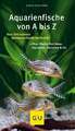 Aquarienfische von A bis Z Schliewen, Ulrich Buch