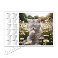 Katzenkalender + + Taschenkalender 2024  |  Cat Calendar 2024 [K06]
