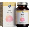 MSM 500 mg Kapseln, 60 St PZN 14355020