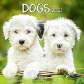 Dogs 2021: Broschürenkalender mit Ferienterminen. H... | Buch | Zustand sehr gut