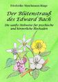 Der Blütenstrauß des Edward Bach | Buch | 9783743140523