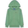 Champion Rochester Jungekleidung Sweatshirt 305960GS098 HOODED Grün