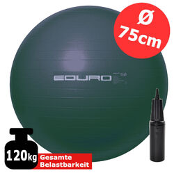 Gymnastikball 65  75 cm mit Pumpe Fitnessball Sitzball Sitzball Ball Sportball