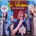 Gin Blossoms - Hey Jealousy 7"" EP - 1993 UK Fontana EX + Vinyl