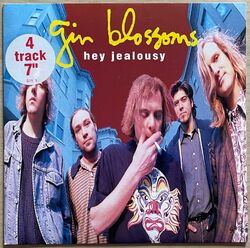 Gin Blossoms – Hey Jealousy 7” EP - 1993 UK Fontana EX+ Vinyl