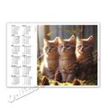 Katzenkalender + + Taschenkalender 2024  |  Cat Calendar 2024 [K10]