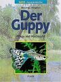 Der Guppy: Pflege und Hochzucht von Kempkes, Michael | Buch | Zustand sehr gut