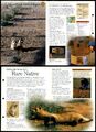 Schwarzfußfrettchen #37 - Save Species Discovering Wildlife Fact Aktenkarte