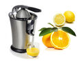 Elektrische Citrus Presse Fruchtentsafter Orangen Zitronen auspressen Entsaften
