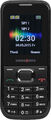 Swisstone SC 230 Mobiltelefon schwarz - neu