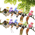 12PCS Mini Künstliche Vögel Gefälschte Dekor Haus Garten Ornamente Mehrfarbig