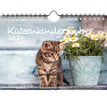 Katzenkinderzauber DIN A5 Wandkalender für 2024 Katzenkinder Katzenbabys - Seele