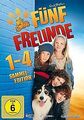 Fünf Freunde 1 - 4 [Limited Edition] [4 DVDs] von Marzuk,... | DVD | Zustand gut