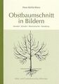 Obstbaumschnitt in Bildern: Kernobst - Steinobst - Beere... | Buch | Zustand gut